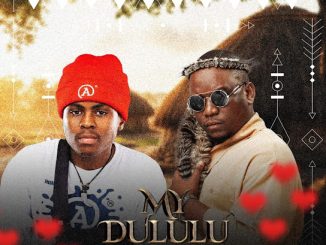 Mjolisi - My Dululu