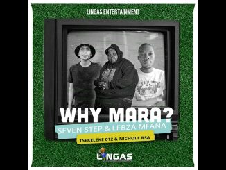 Seven Step x Lebza Mfana - Why Mara