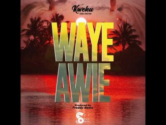 Kweku Darlington - Waye Awie