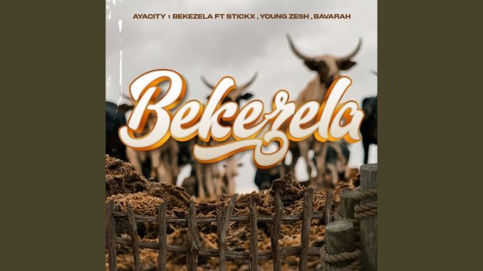 AYACITY - BEKEZELA