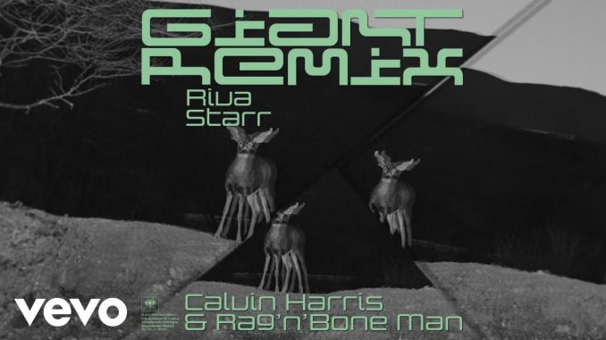 Calvin Harris - Giant Riva Starr Tribe Vibe (Remix)